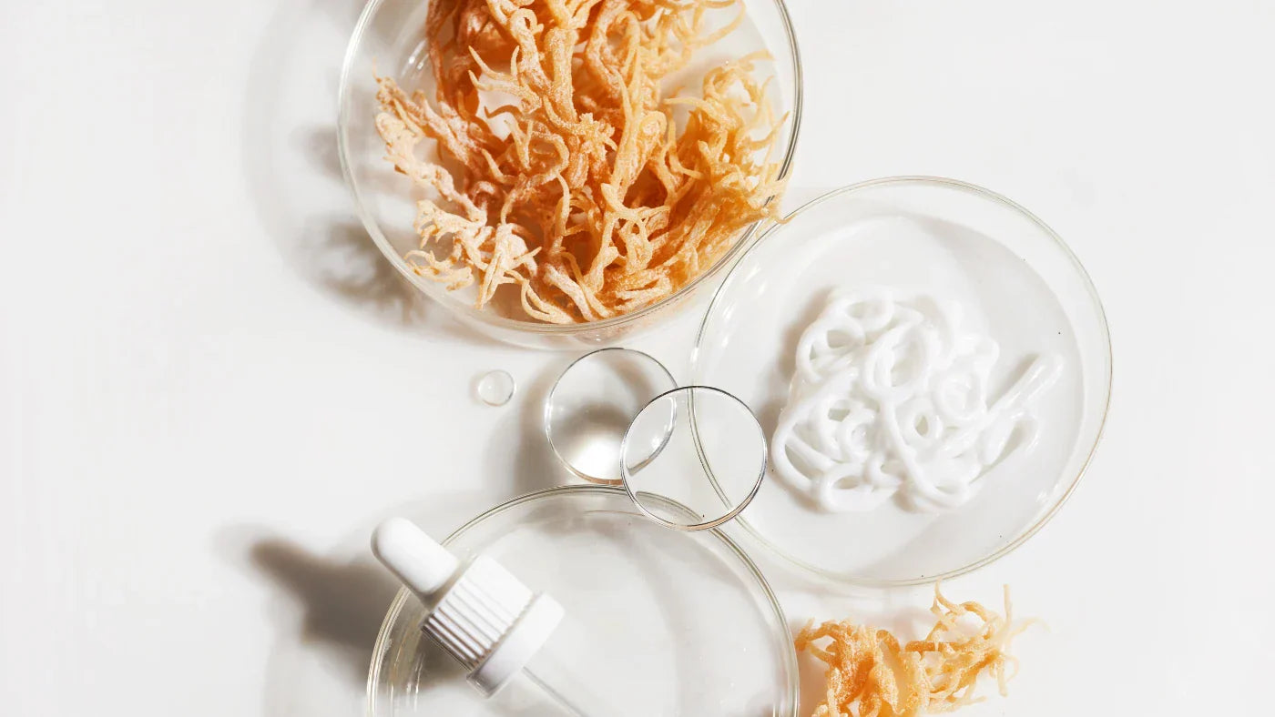 sea_moss_vorteile