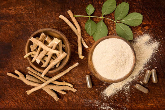Das beste Ashwagandha Supplement für mich? Ashwagandha Typen erforscht