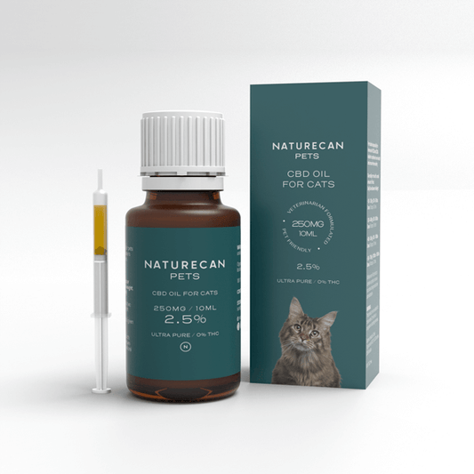 Huile de CBD pour chats