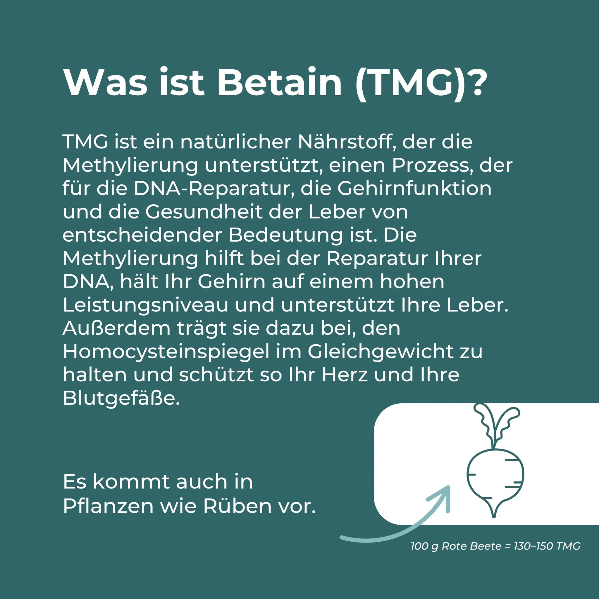 Betain Kapseln (TMG)