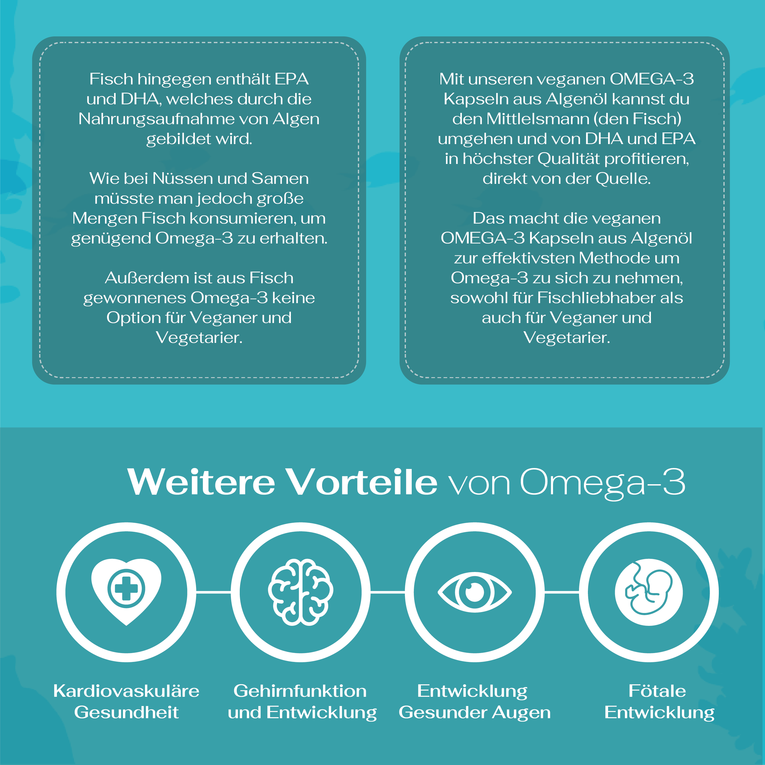 Vegane Omega-3 Kapseln