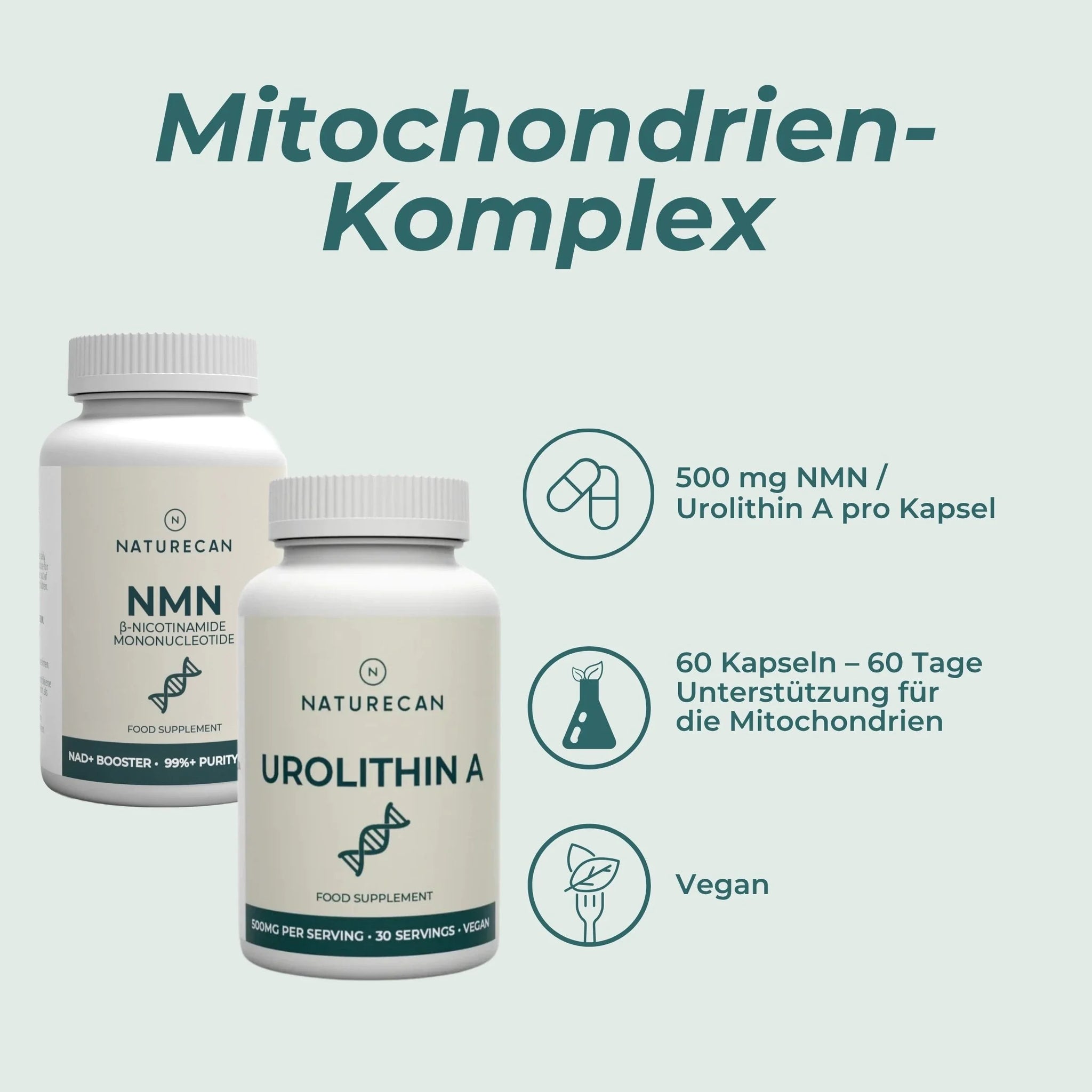 Mitochondrien-Komplex