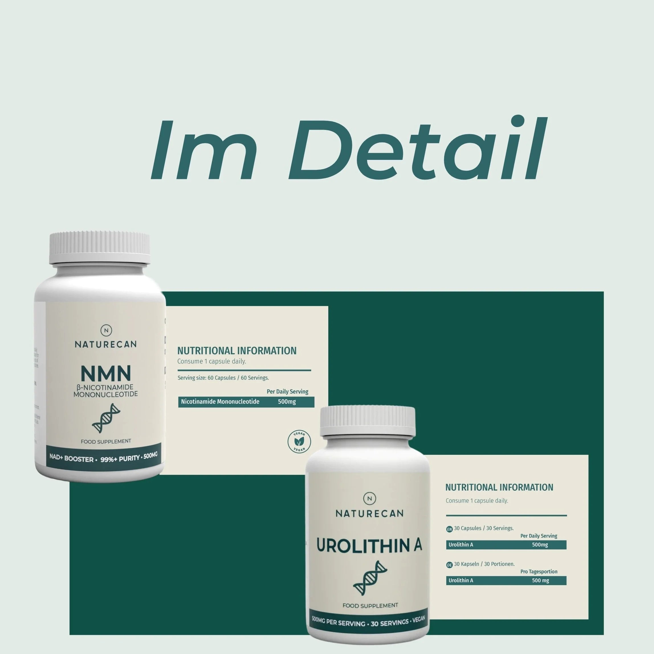 Mitochondrien-Komplex