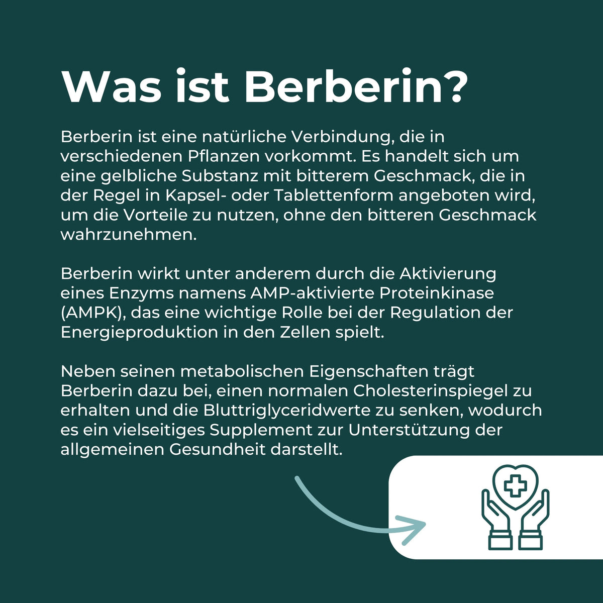 Bernerin Berberin kaufen | 500 mg Berberin-Supplemente | Naturecan – Naturecan CH