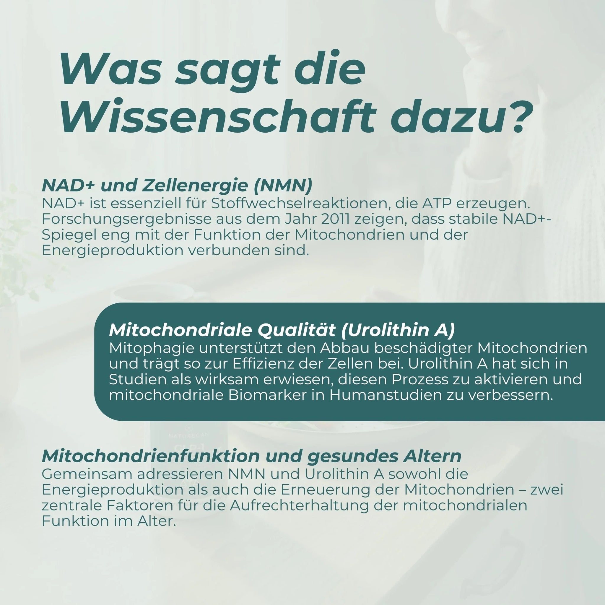 Mitochondrien-Komplex