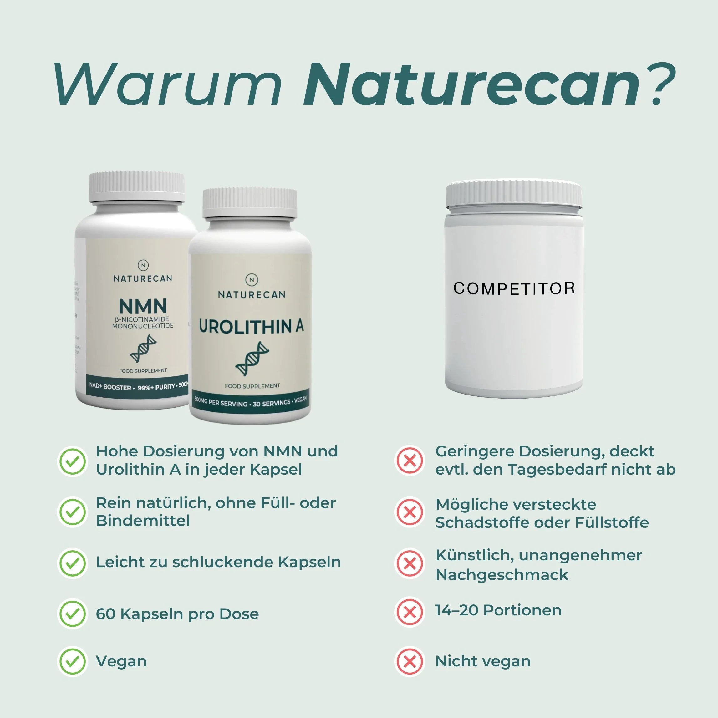 Mitochondrien-Komplex