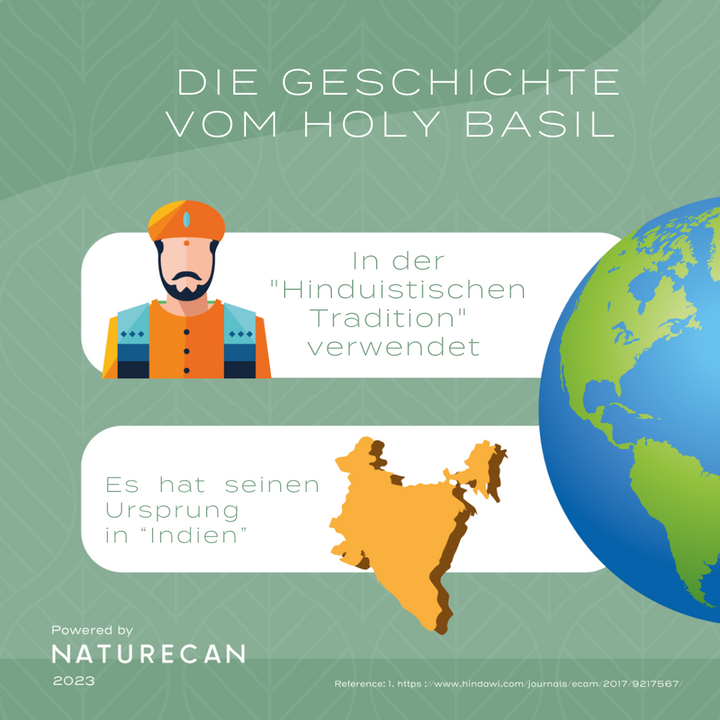 Capsules de basilic sacré - Extrait de Tulsi