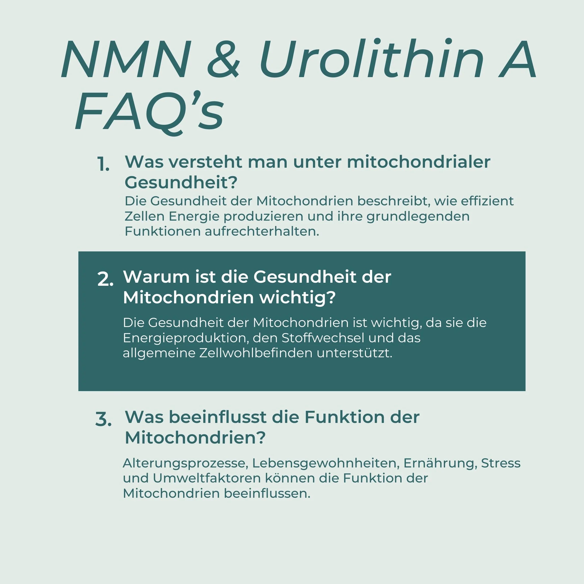 Mitochondrien-Komplex