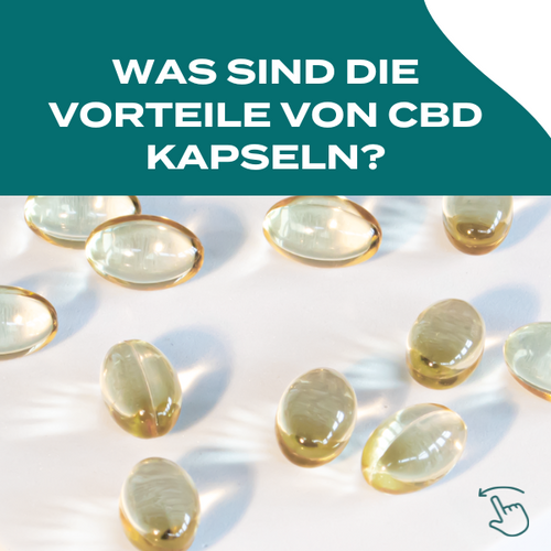 Gélules CBD