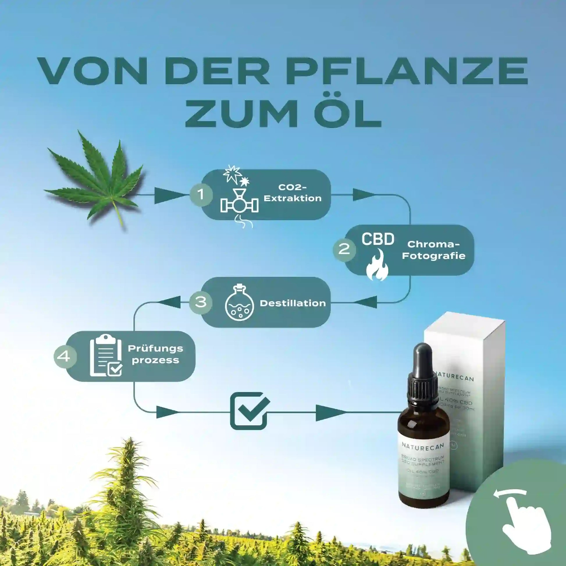 von Pflanze zu Öl