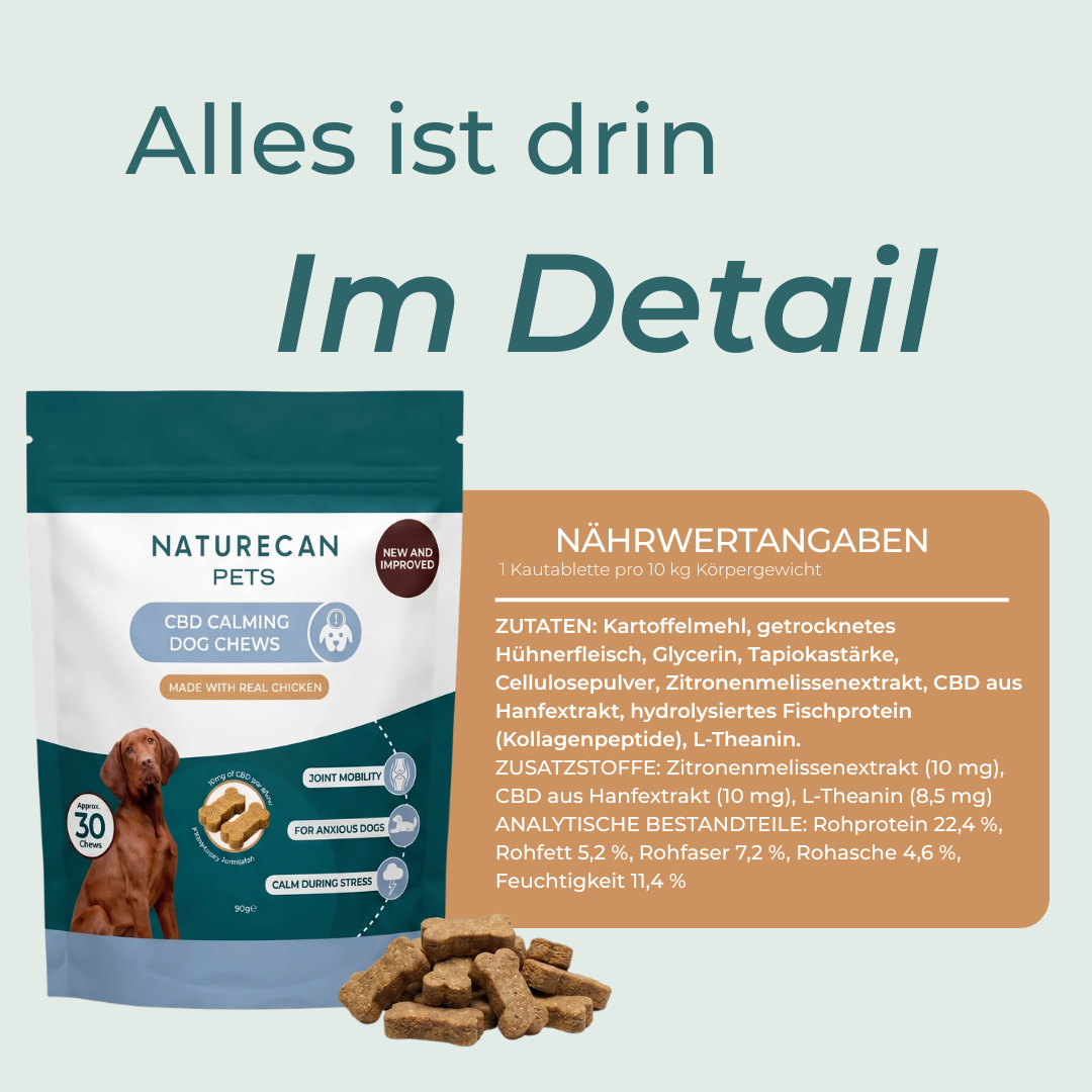 Friandises pour chiens au CBD pour plus de paix intérieure