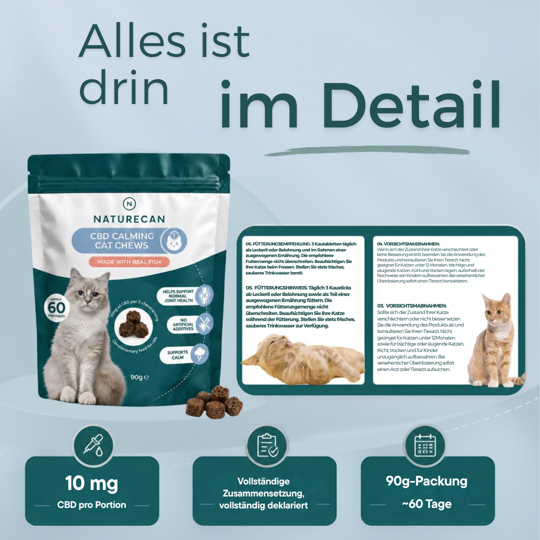 CBD-Leckerlis zur Beruhigung von Katzen