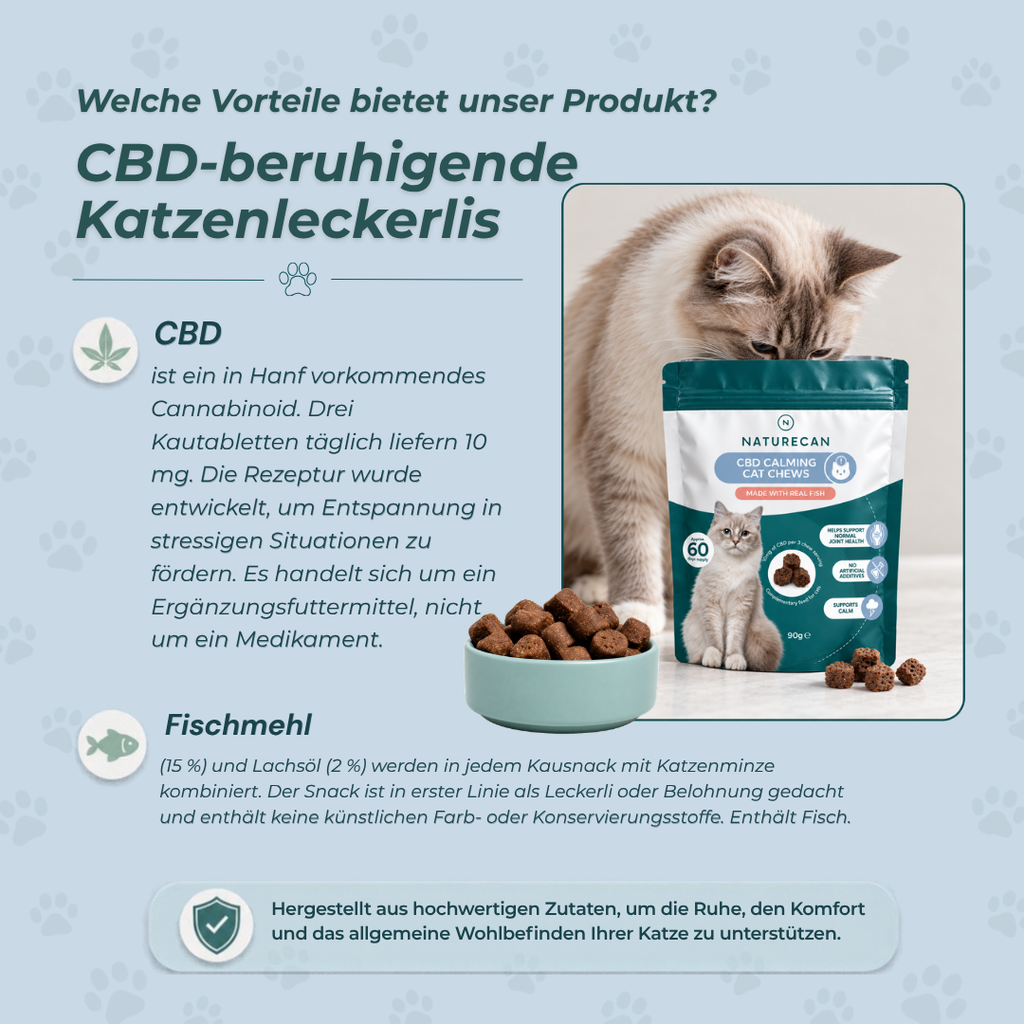 CBD-Leckerlis zur Beruhigung von Katzen