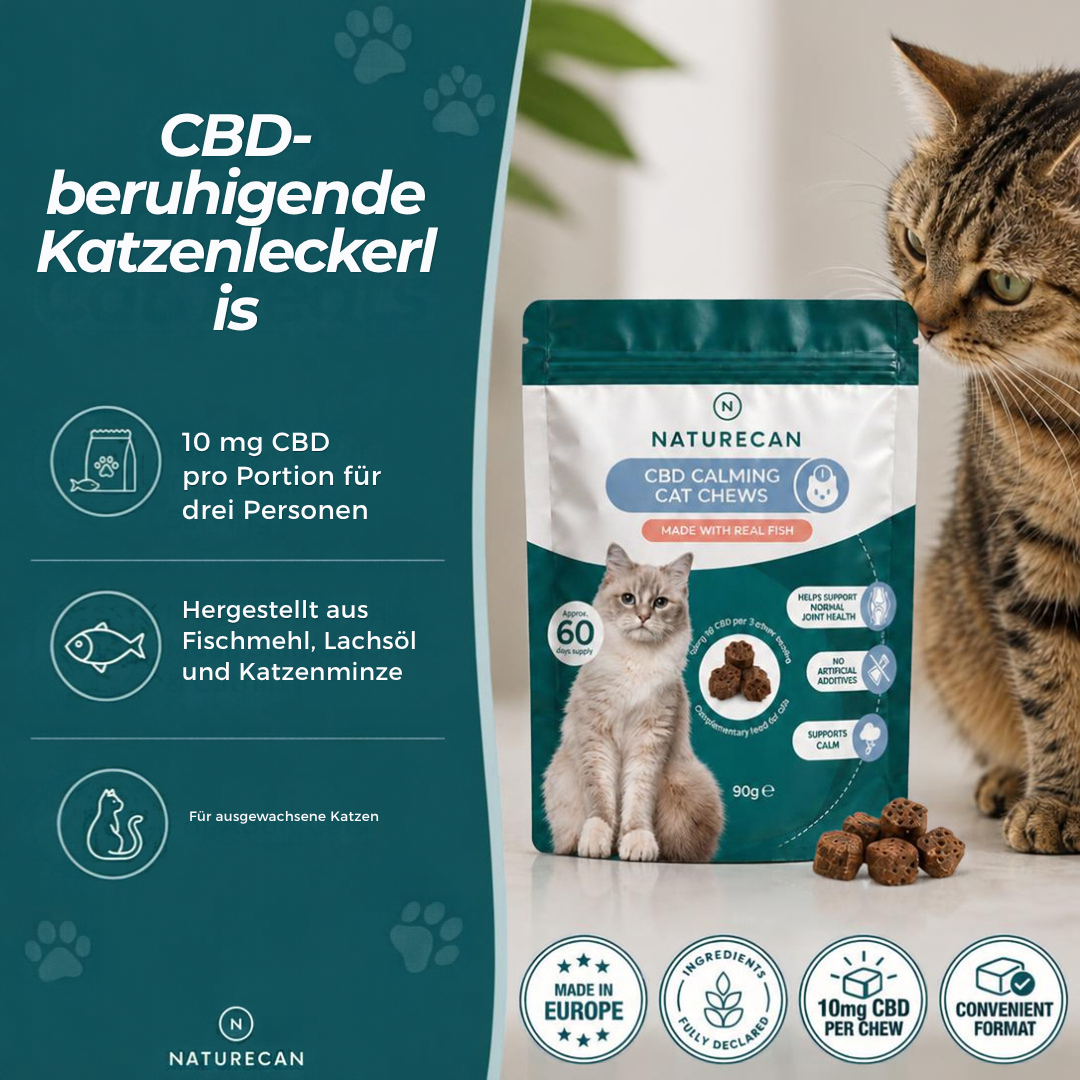 CBD-Leckerlis zur Beruhigung von Katzen
