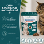 CBD-Leckerlis zur Beruhigung von Katzen