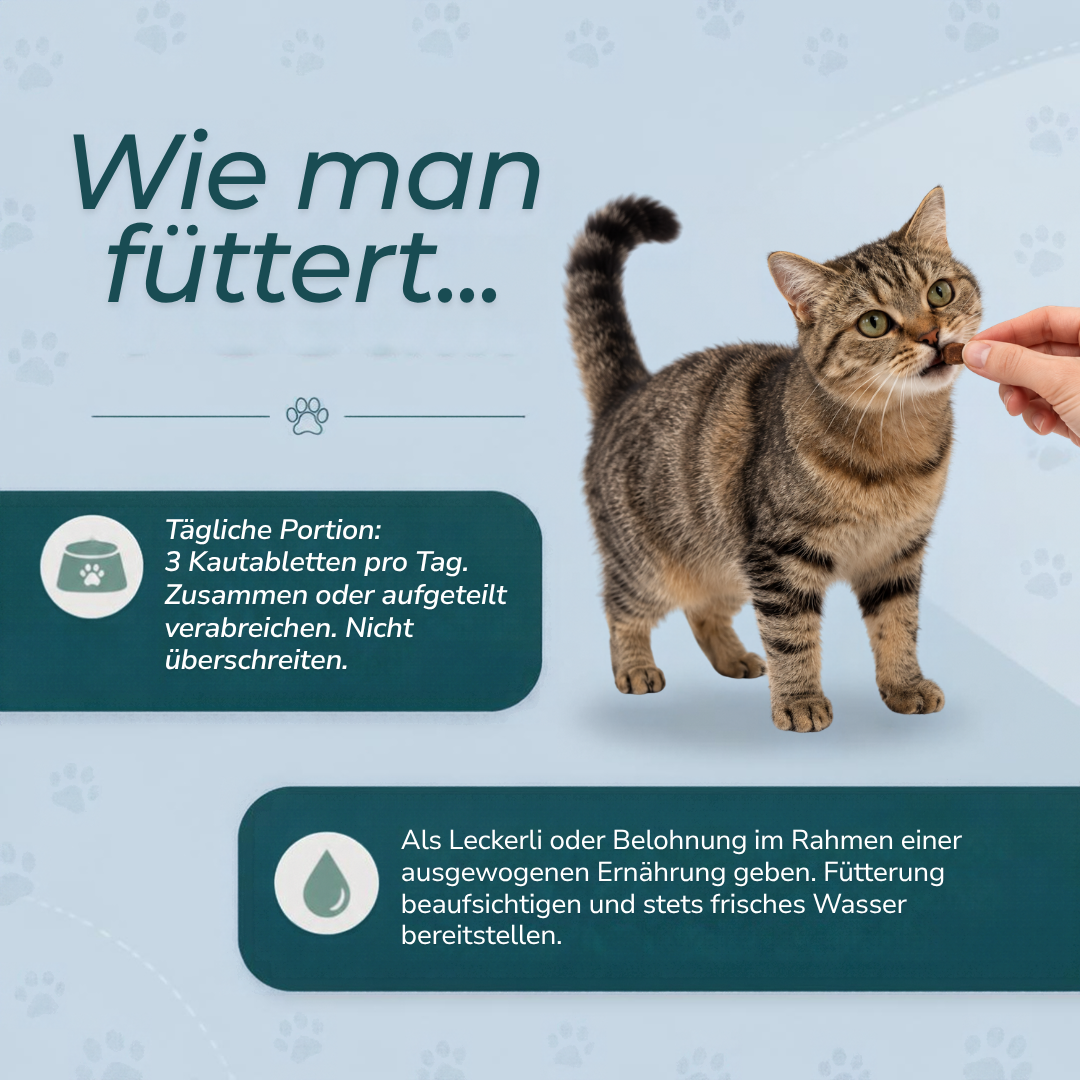 CBD-Leckerlis zur Beruhigung von Katzen