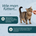 CBD-Leckerlis zur Beruhigung von Katzen