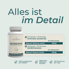 Berbérine