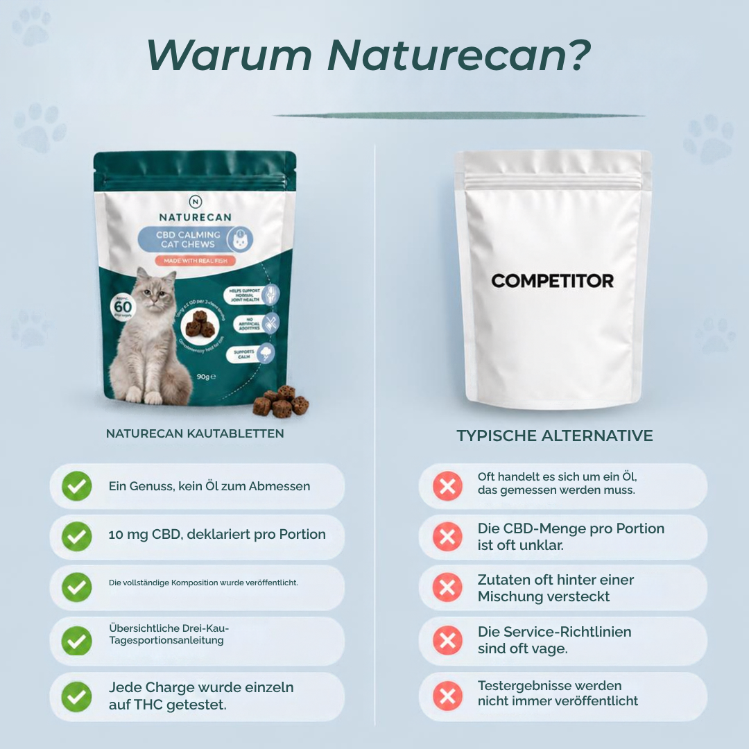 CBD-Leckerlis zur Beruhigung von Katzen