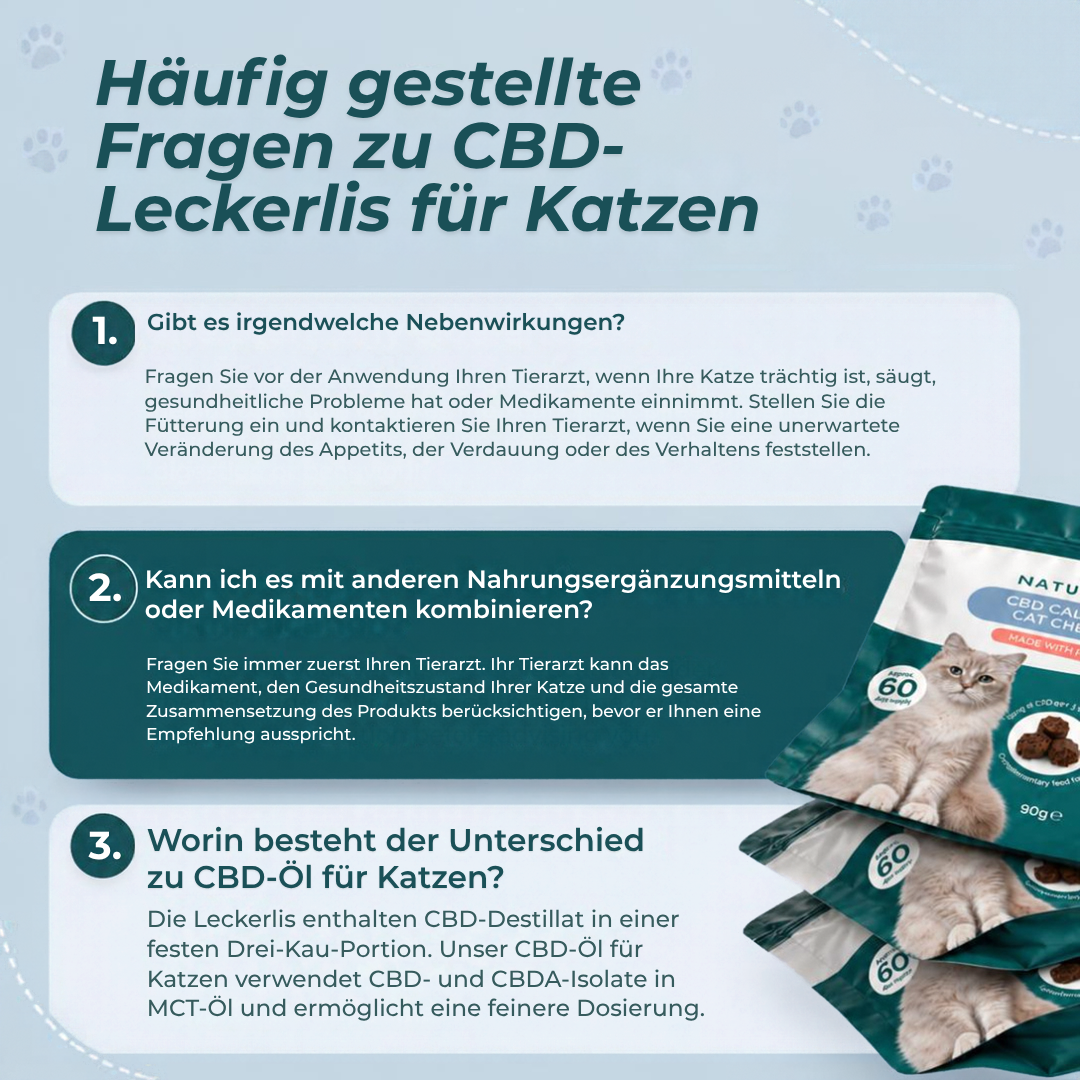 CBD-Leckerlis zur Beruhigung von Katzen