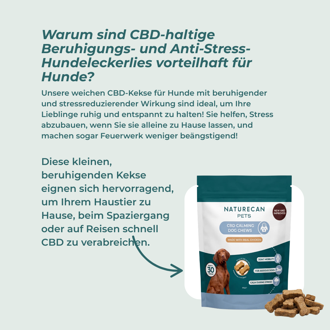 Friandises pour chiens au CBD pour plus de paix intérieure