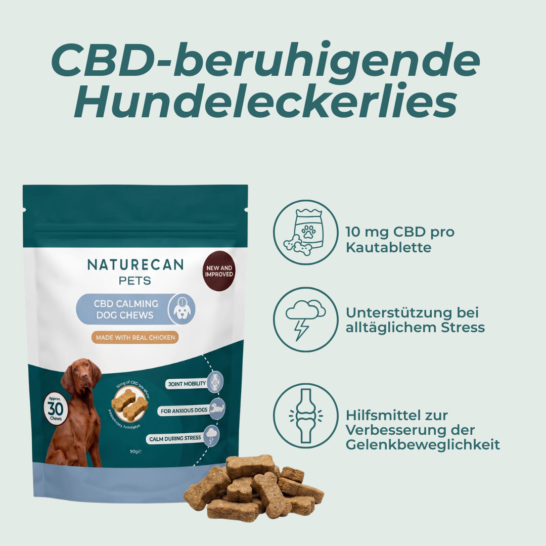 Friandises pour chiens au CBD pour plus de paix intérieure