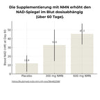 NMN Kapseln