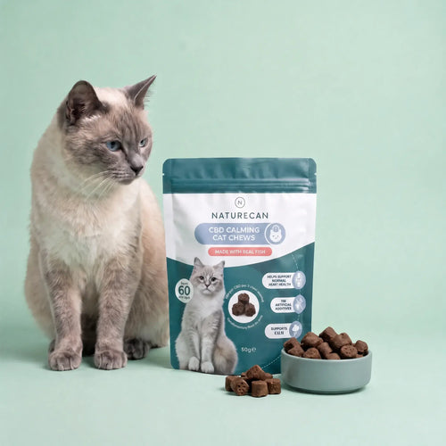 CBD-Leckerlis zur Beruhigung von Katzen