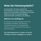 Betain Kapseln (TMG)