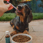 Kleiner Hund CBD Öl