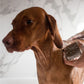 Hautberuhigendes Shampoo für Tiere